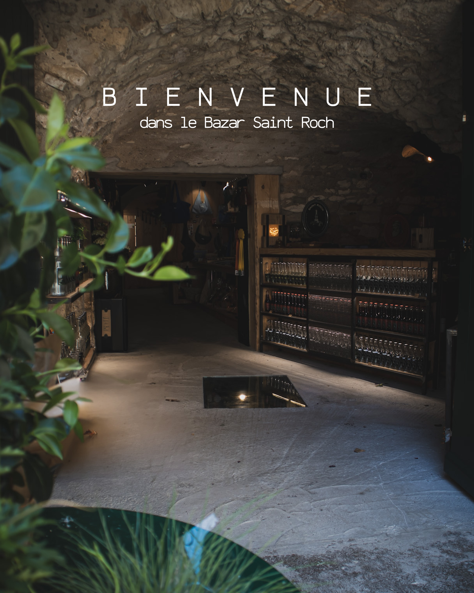 Bienvenue à vous